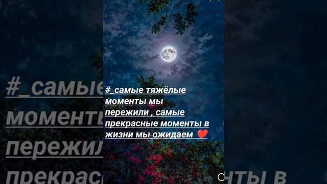 1000001964.mp4