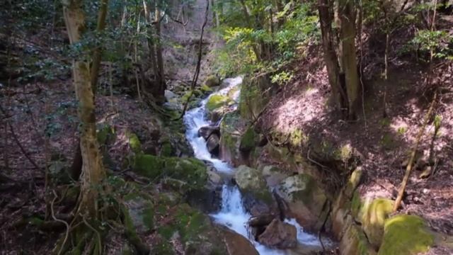 Япония, лесной водопад, прогулка по лесу, обзор японских достопримечательностей, туризм, экскурсия