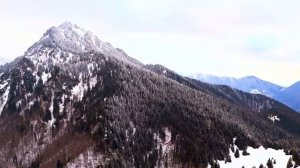 Ветер в соснах — Шелест листьев для спокойствия