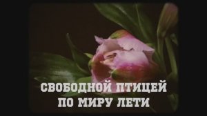 Вася Обломов - Живи (Official lyric video. OST -Призрак-)