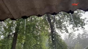 Рабочая поездка Василия Пискарёва в Краснослободский район