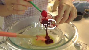 planD Покупка кухонных принадлежностей в Dongdaemun. Помидорный вор, пудинг из паровых яиц