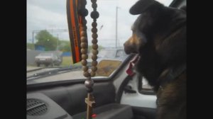 Сегодня на рыбалку с удочкой - Вот это попали ! Рыбалка на пруду с другом.