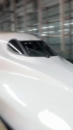 Путешествие по Японии: советы и лайфхаки для туристов