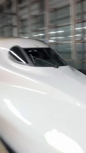 Путешествие по Японии: советы и лайфхаки для туристов