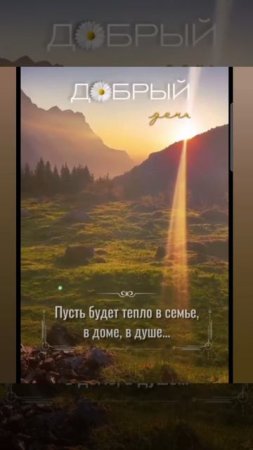 Доброе утро #доброеутро #благодарность