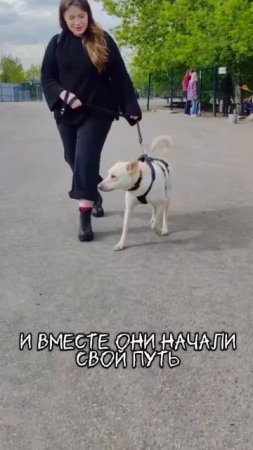 Мираж Дома🏡