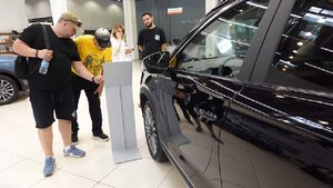 Дилер посоветовал дополнительно защитить китайское авто после покупки