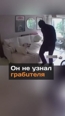 Он не узнал грабителя