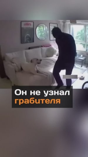 Он не узнал грабителя