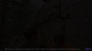 Музыка качает мысли, как ветер качает траву - Dream Sunlight -- Nihilore -- Best of 2020-2024