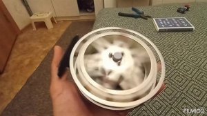 Две восстановленные катушки Невские