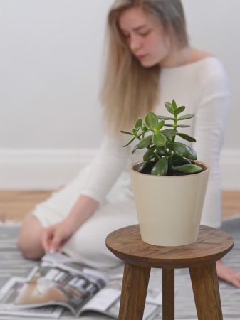 Горшок для цветов с дренажной вставкой InGreen London 1,6 л
