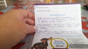 живём на даче/опять лечим)
