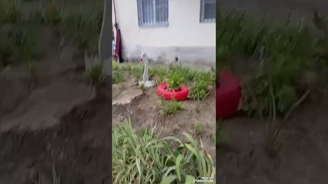1000004376.mp4
