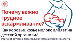 Как коровье, козье молоко влияет на детский организм? Почему важно грудное вскармливание?