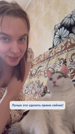 Арт WB #93550775 Ozon #655295171
Очиститель безвредно отмоет все в доме💙 #длядома