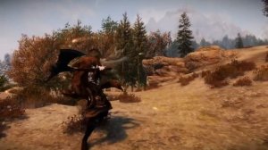 For Honor in Skyrim