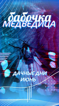 Бабочка крылышками бяк-бяк-бяк🦋🦋🦋