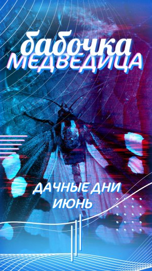 Бабочка крылышками бяк-бяк-бяк🦋🦋🦋