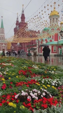 Яркие цветочные ковры у ГУМа. Москва, Россия.