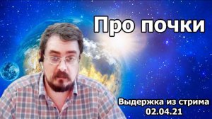 Про почки. Выдержка из стрима от 02.04.21г