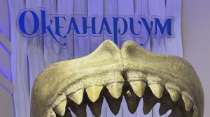 Внуки в Океанариуме (Санкт-Петербург, 2025)