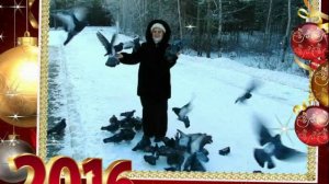 Новый 2016 год