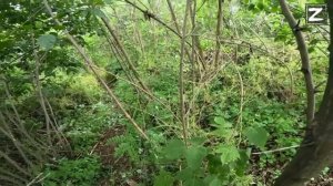 СВО  боец всу пытается утащить  раннего побратима .