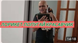 САМВЕЛ АДАМЯН, СЫТНИКИ, ЛОРИК - ПОПУГАЙ КРАСАВЧИК..
