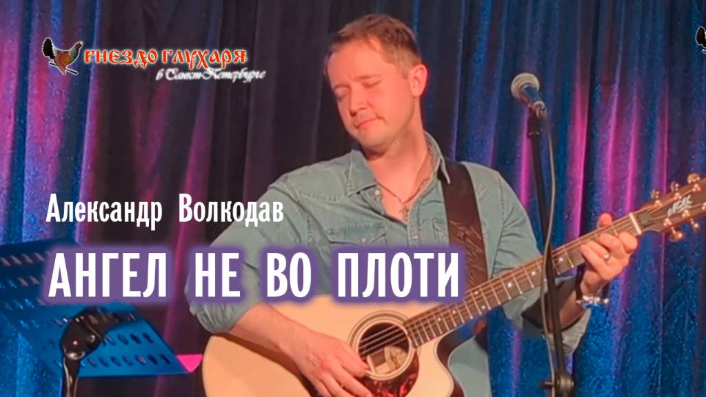 "АНГЕЛ НЕ ВО ПЛОТИ" Александр Волкодав - "Гнездо глухаря" Питер 28.06.2025 #александрволкодав #голос