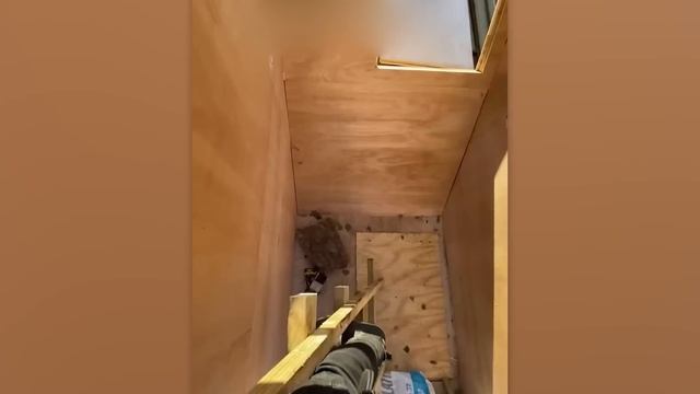 Невероятные Мини Дома, Которых Вы Раньше не Видели смотреть онлайн