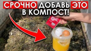 Компост важен для обогатительного роста растений
