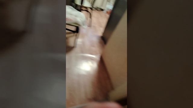1000003667.mp4