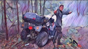 ПОИСК МОНЕТ НА СТАРОЙ ЛЕСНОЙ ДОРОГЕ! МЕДНАЯ МОНЕТА СССР!