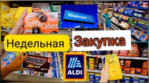 Лиса в Америке. Позор Гнилые овощи на полках Недельная закупка в Walmart и AldiПолная тележка продук