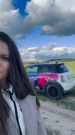 аэрография mini cooper