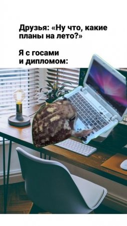 И ждешь, когда наконец-то можно будет спокойно отдохнуть!