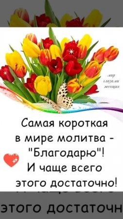 VID-20230402-WA0000