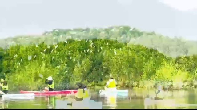 Прогулка на сапах смотреть онлайн