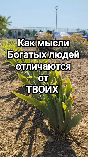 Как мысли богатых людей отличаются от твоих