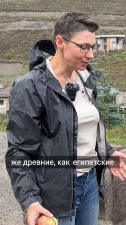 🐴 Ослиный патруль в горах Северной Осетии