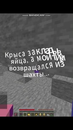Подопытная крыса #shorts #хочуврек #minecraft