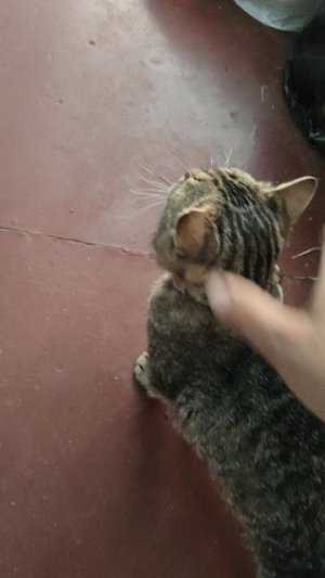 Ганс с ночной смены пришёл.