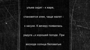 Какую погоду пчелы наобещают пасечникам Калмыкии
