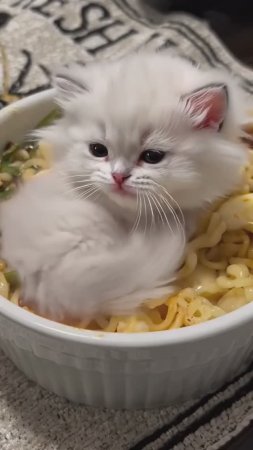 Котёнок в яйце?