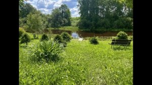 деревня Берёзовик, Дачная улица