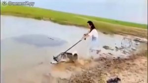 котопёс 🤪🤪