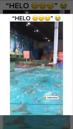 Поздоровался😄