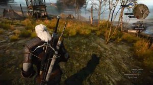 Лесное чудовище ➤ The Witcher 3_ Wild Hunt #11